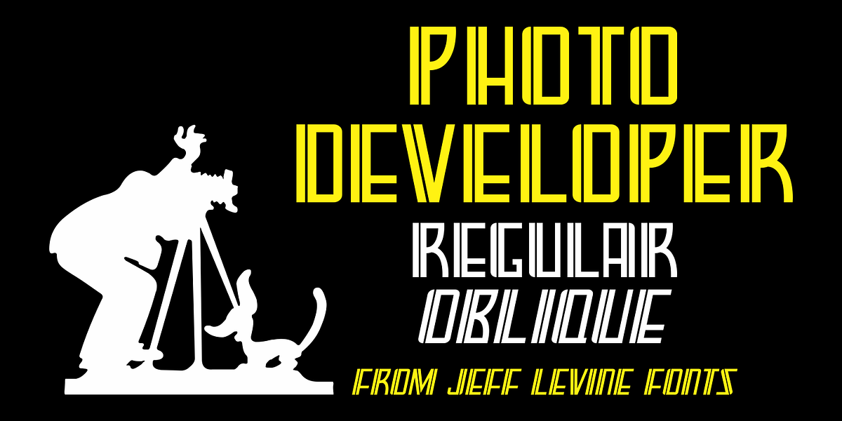 Photo Developer JNL, a Font by Jeff Levine Fonts (Photo 1 of 5)