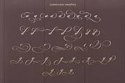 Cut Putroe Navisha, a Script Font by Typehill (Thumbnail 14 of 15)