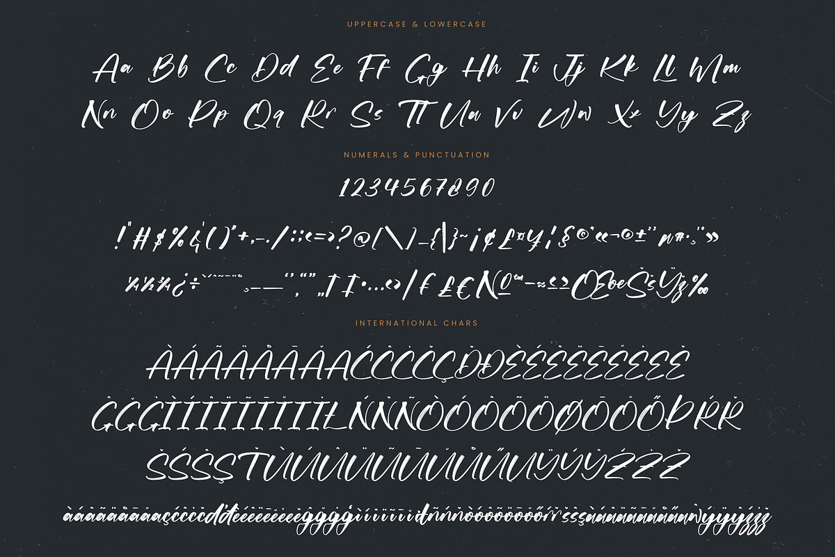 Actively Modern Brush Font, a Script Font by stylishtype.co (Photo 18 of 20)