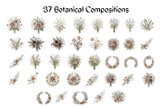 Vintage Botanical Illustrations, a Decorative Illustration by youtoview (Thumbnail 2 of 14)