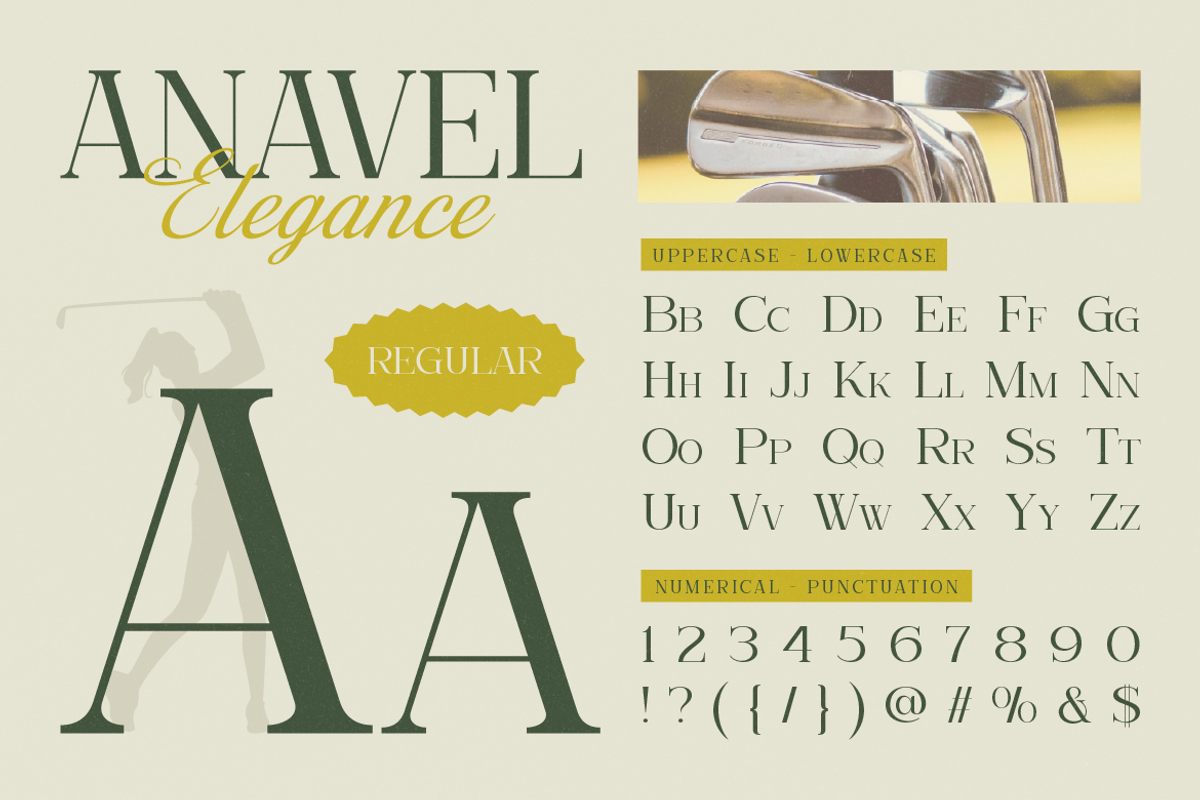 Anavel Elegance, a Serif Font by Burntilldead (Photo 2 of 11)