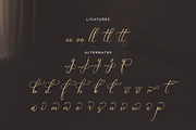 Teofandin Levantamy | Wedding Script, a Script Font by Denustudios (Thumbnail 12 of 14)
