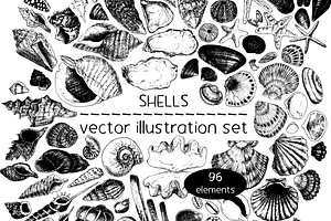 Shells - vector illustration set