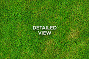 20 Seamless Grass Texture Pack, a Texture Graphic by Top Textures (Thumbnail 3 of 9)