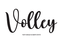 Volley | Script Font