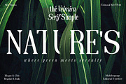 The Velmira Serif Simple, a Serif Font by Slex Studio (Thumbnail 14 of 15)