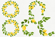 Watercolor Lemons Set, a Food Illustration by Helga Wigandt (Thumbnail 3 of 9)