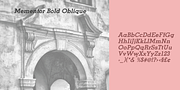 Mementor, a Slab Serif Font by Wooden Type Fonts (Thumbnail 6 of 6)