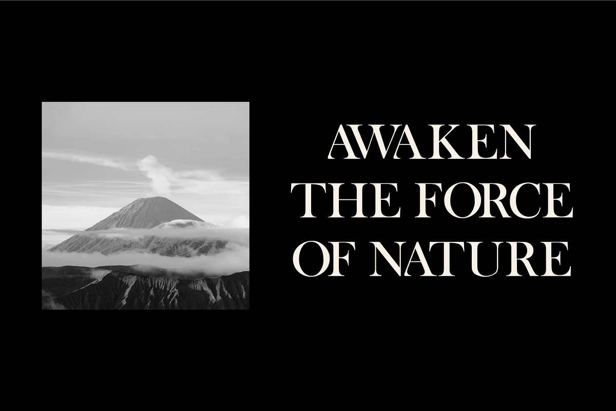 Dyntra - Modern Serif Font, a Font by HAN (Photo 8 of 10)