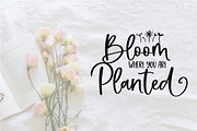 Farmland Acres | Script Font Duo, a Script Font by KA Designs (Thumbnail 26 of 31)