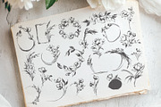 Botanical Sketch Flowers & Greenery, an Illustration by Tinydew (Thumbnail 5 of 9)