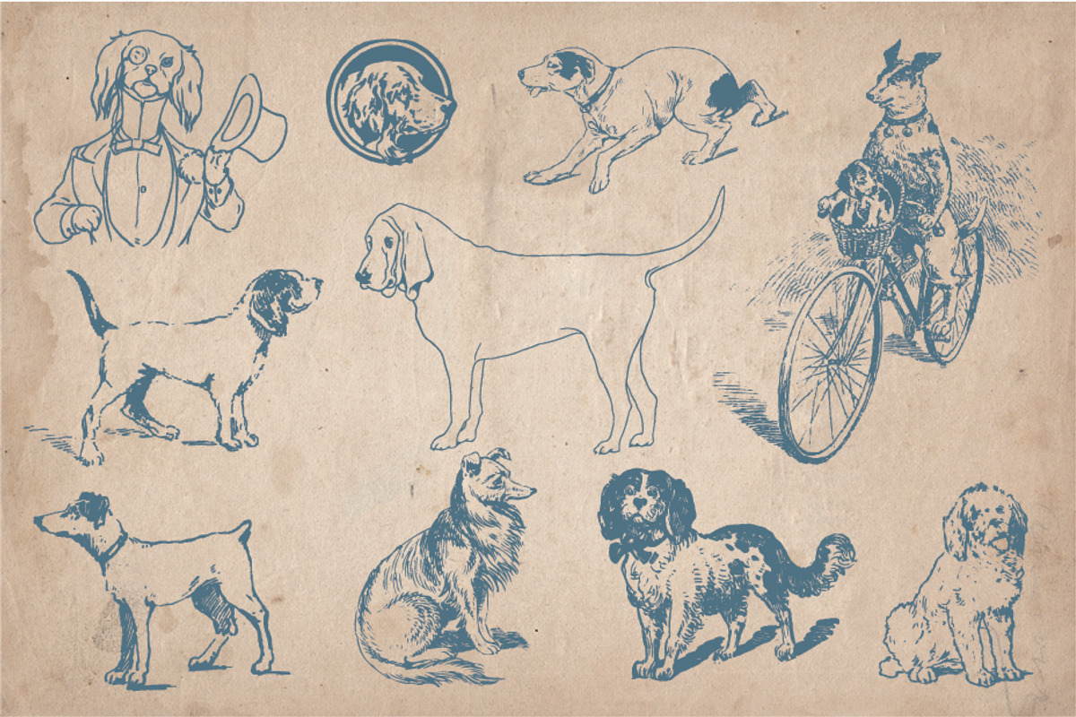 32 Hand Drawn Dogs and Puppies, an Animal Illustration by Mr Vintage (Photo 3 of 5)