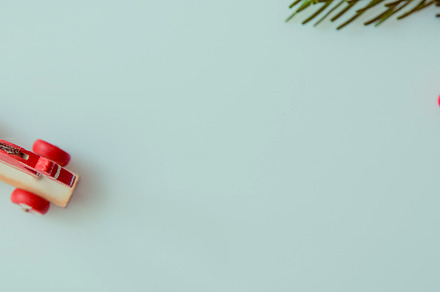 Christmas holly fir tree decoration stock photo containing christmas and holly, a Holiday Photo by Markus Spiske | Images