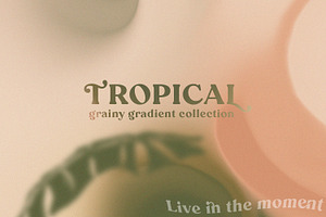 Tropical Grainy Gradient Collection