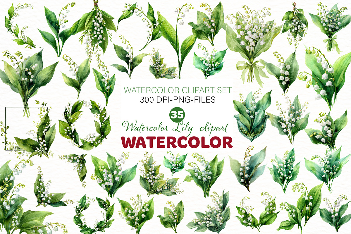 Watercolor Lily clipart, an Illustration by Designworld (Photo 1 of 4)