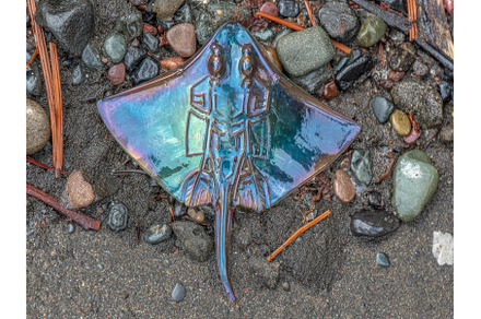 A skate ray and manta ray have met, an Animal Photo by ZinetroN
