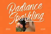 Alesteny Pojharu Handwritten Ink, a Script Font by stylishtype.co (Thumbnail 9 of 20)