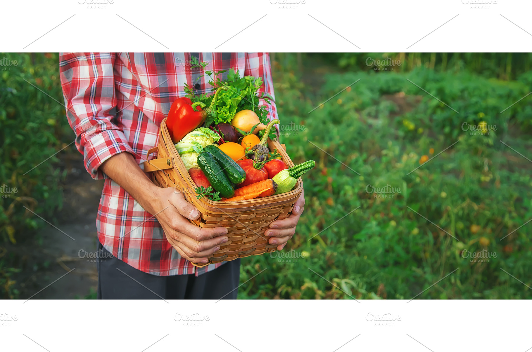 A man farmer holds a harvest of, a Food & Drink Photo by yanadjana