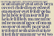 Resilience Expressed Font, a Serif Font by 177Studio (Thumbnail 7 of 8)