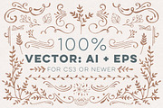 100+ Vector Leaves + Flourishes, a Decorative Illustration by Every Tuesday (Thumbnail 2 of 4)