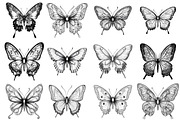 Butterflies Clipart PNG, an Illustration by SinaCreation (Thumbnail 2 of 5)