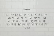 Roylles | Ligature Stylish, a Serif Font by Muntab_Art (Thumbnail 12 of 13)