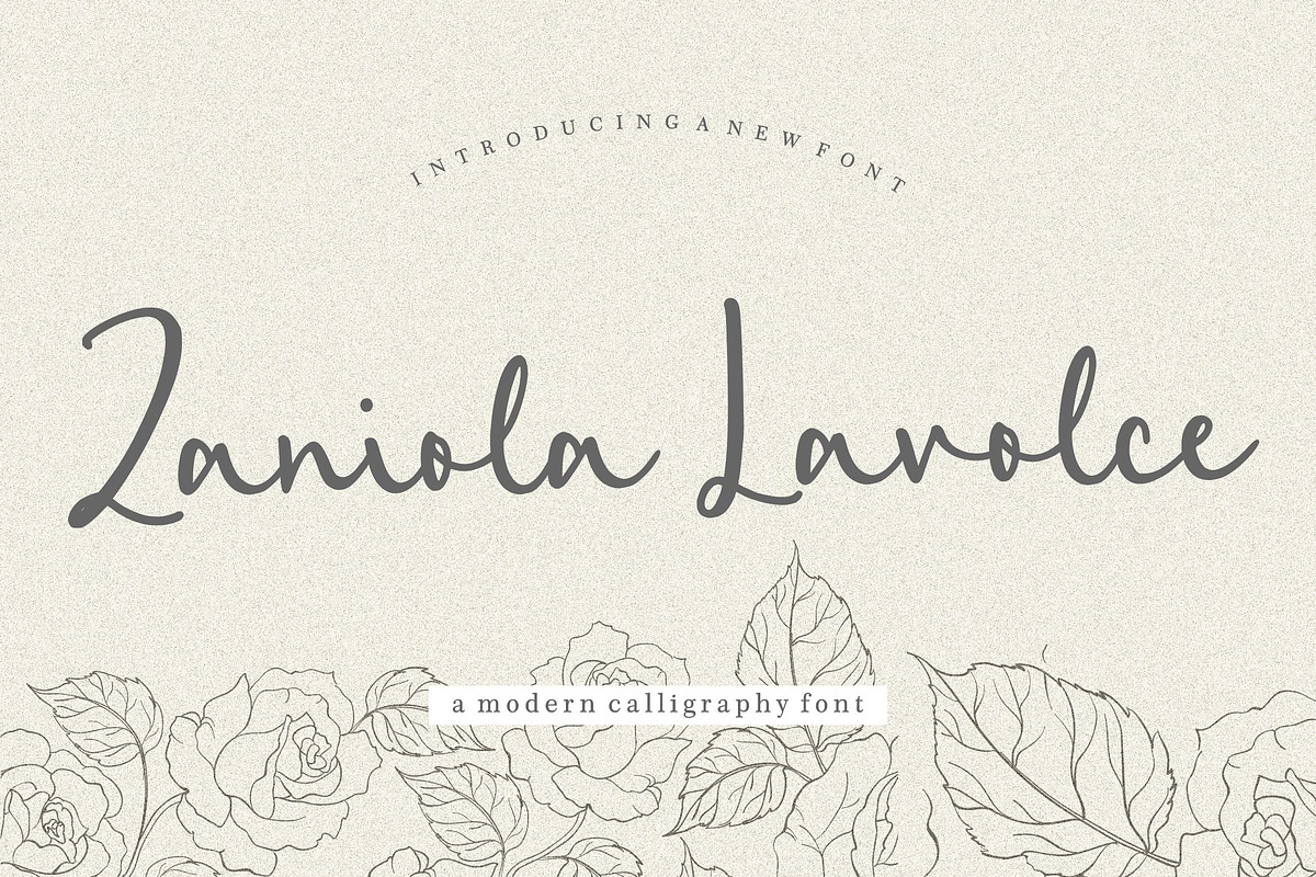 Zaniola Lavolce - Modern Calligraphy, a Script Font by Balpirick Studio (Photo 1 of 7)