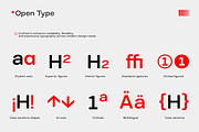 TBJ Elvaro Grotesque Sans Family, a Sans Serif Font by Taboja Studio (Thumbnail 5 of 16)