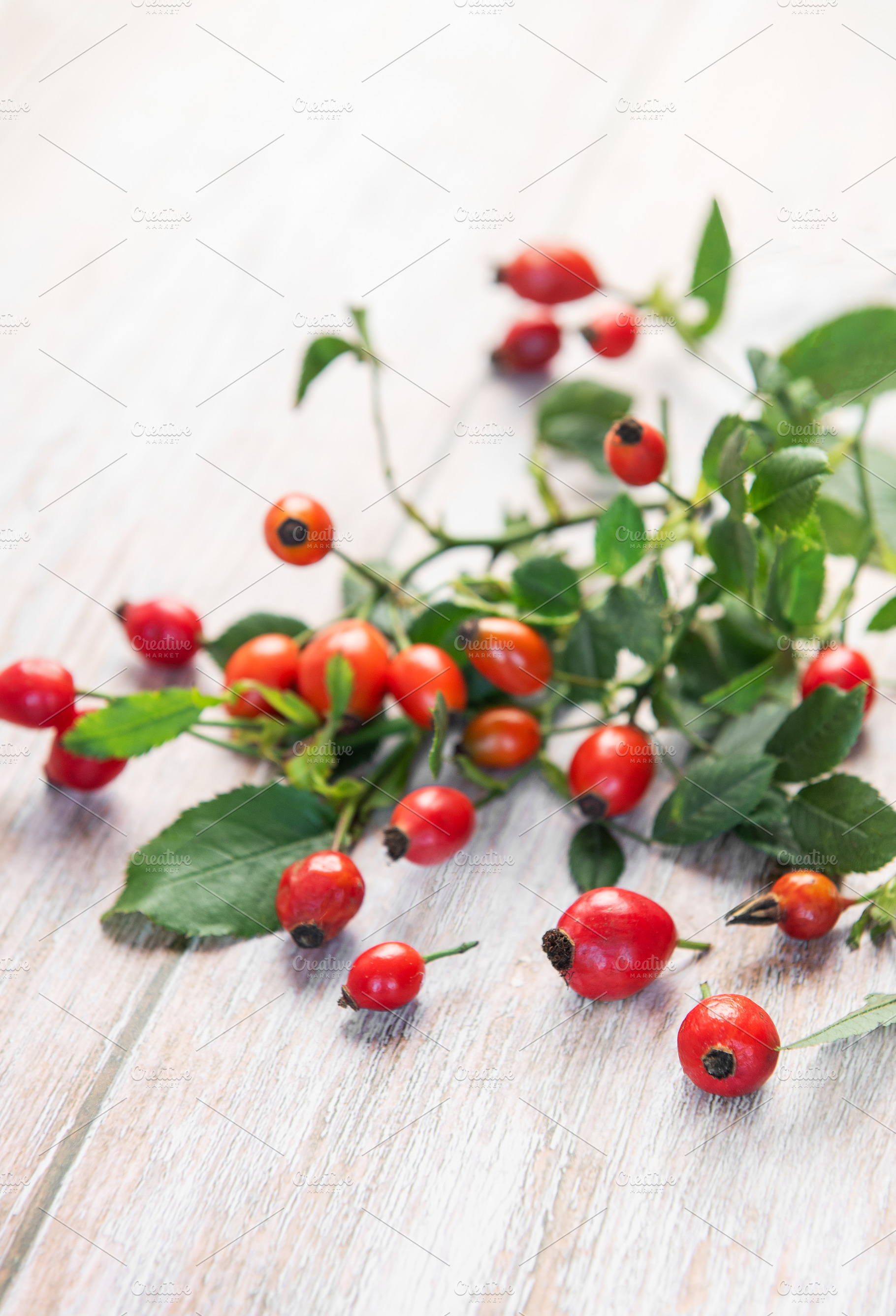 Fresh rose hips lying on rustic white table, a Food & Drink Photo by Olena Rudo