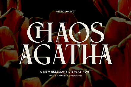 Chaos Agatha - Elegant Display, a Serif Font by Pandeka Studio