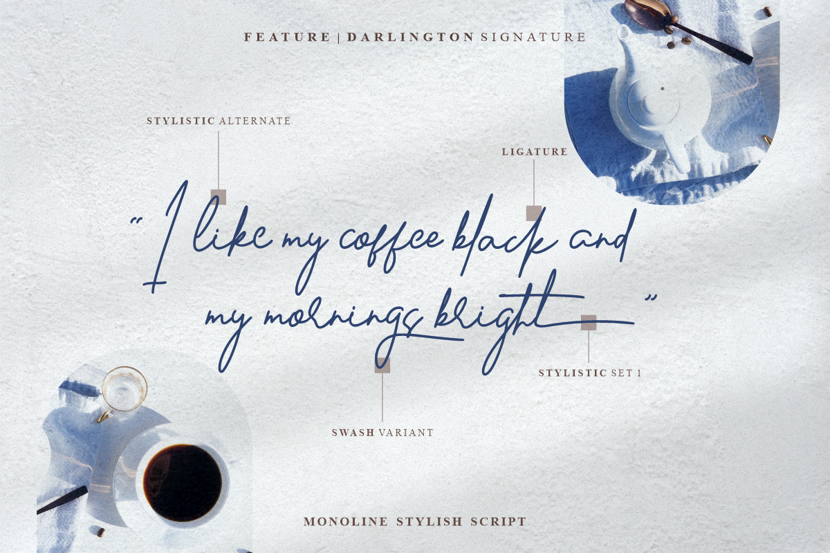 Darlington Signature, a Script Font by Glyphstyle (Photo 2 of 11)