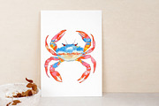 Watercolor Crab Clipart, an Illustration by Libby Wishes (Thumbnail 6 of 7)