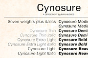 Cynosure, a Sans Serif Font by Device (Thumbnail 7 of 8)