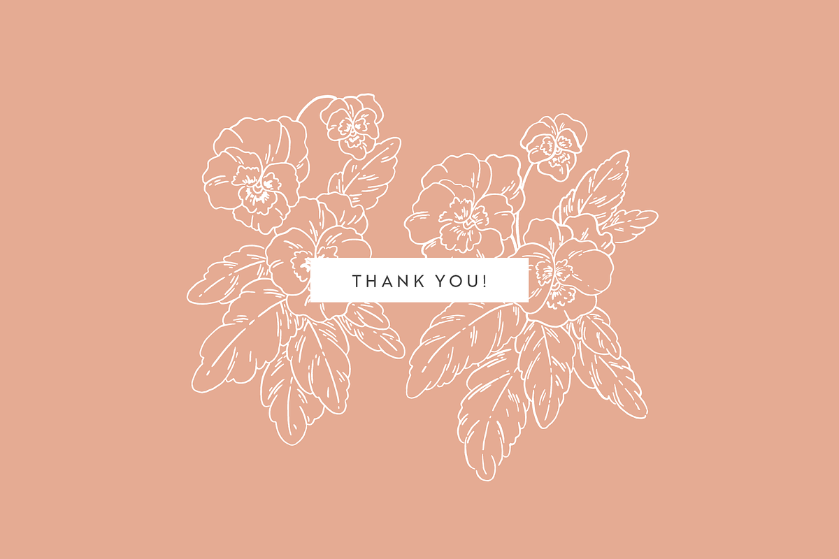 Flower Garden Vector Illustrations, a Decorative Illustration by Emma Webb Studio (Photo 8 of 8)