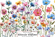 Watercolor Wildflower Clipart, an Illustration by OK Design (Thumbnail 1 of 6)