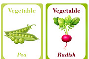 Vegetable Flash Cards for Kids, a Card Template by DigitalsDesigns (Thumbnail 3 of 4)