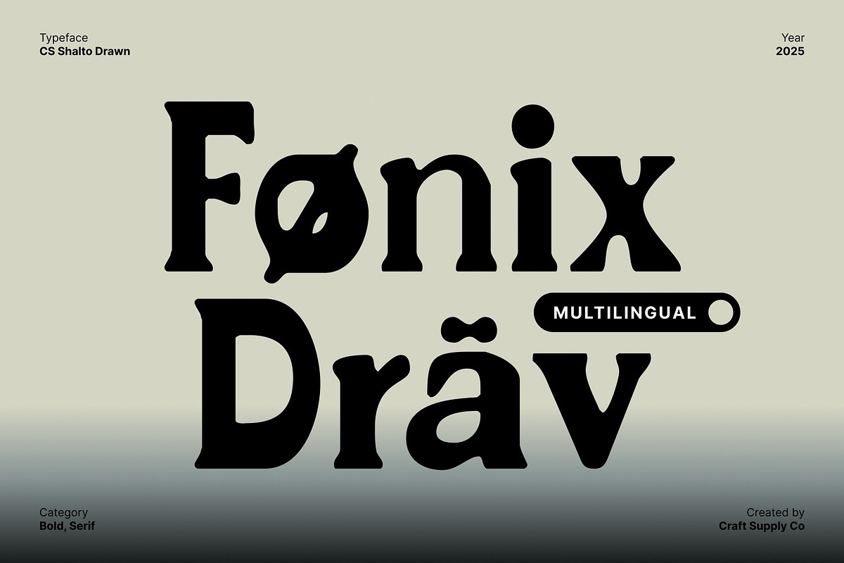 CS Shalto Drawn, a Serif Font by Craft Supply Co. (Photo 4 of 8)