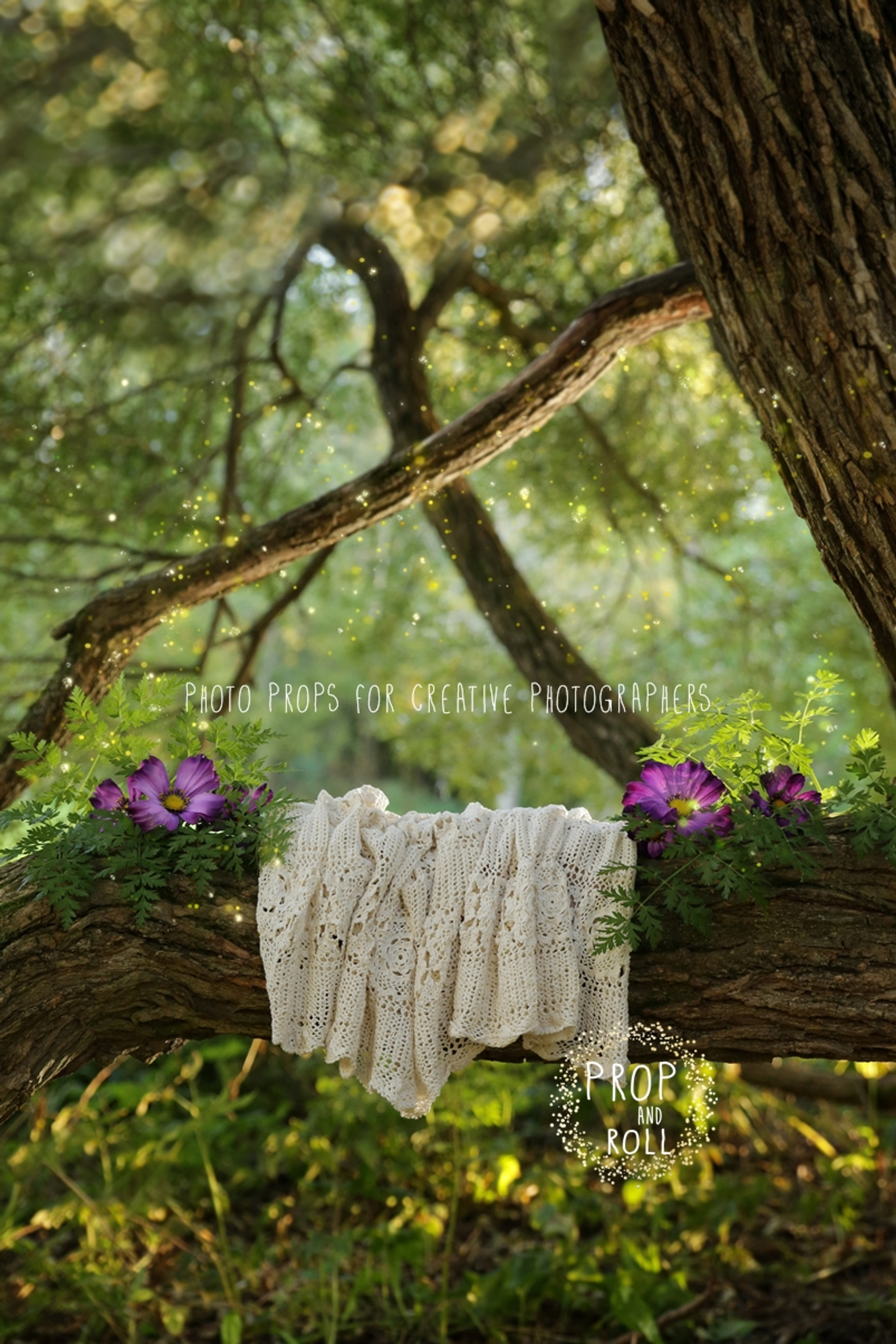 Digital Photography background, a Background Photo by Susa's pics