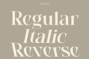 CS Agate – Modern Serif Font, a Serif Font by Craft Supply Co. (Thumbnail 3 of 8)