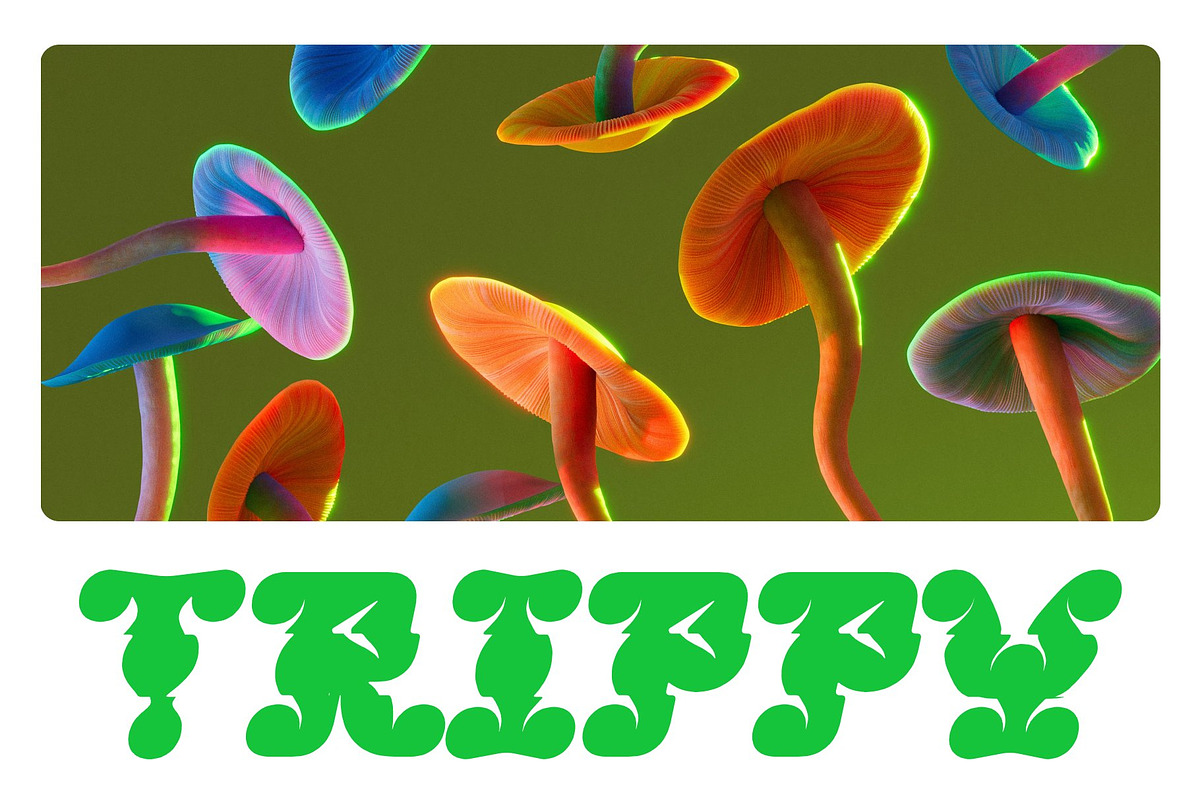 CS Maize Rippled, a Serif Font by Craft Supply Co. (Photo 6 of 8)