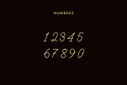Glanbois - Monoline Script Font, a Script Font by Favo Write (Thumbnail 11 of 12)