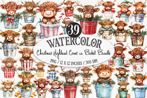Christmas Highland Cows in Bucket, an Illustration by Designking