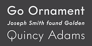 Intervogue, a Sans Serif Font by Miller Type Foundry (Thumbnail 7 of 14)