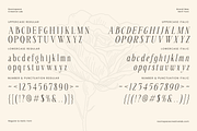 Seraline Orchid – A Graceful Modern, a Serif Font by roomspace creative lab (Thumbnail 8 of 10)