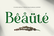 CS Hayes – Art Nouveau Font, a Serif Font by Craft Supply Co. (Thumbnail 3 of 8)