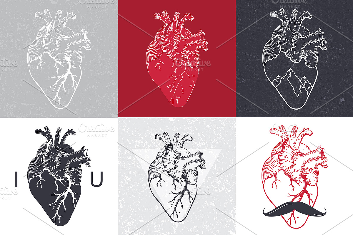 Anatomical hearts & quotes, a Texture Illustration by Librebird (Photo 4 of 8)