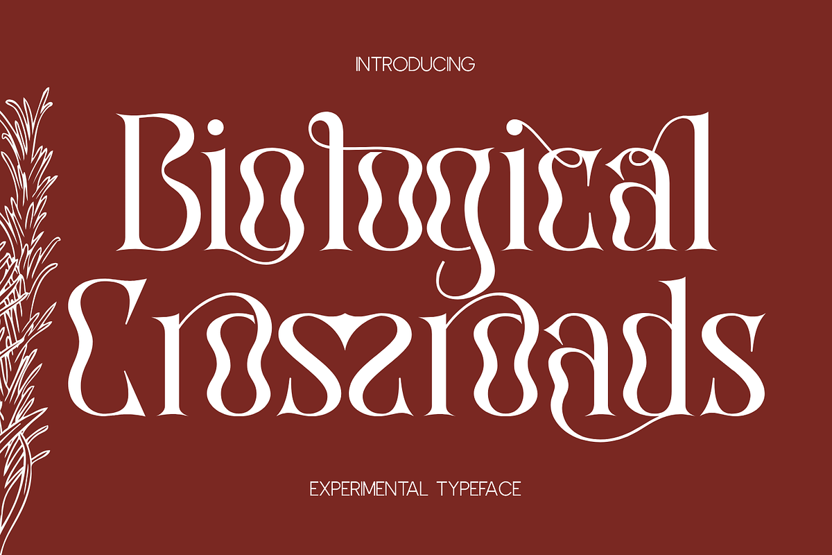 Biological Crossroads - Psychedelic, a Serif Font by 177Studio (Photo 1 of 8)