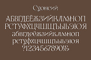 Swansea Cyrillic Font, a Serif Font by Mysterylab Designs (Thumbnail 6 of 8)