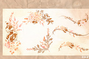 Botanical Champagne watercolor, a Decorative Illustration by CpandoShop (Thumbnail 5 of 7)