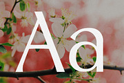 Spring Melody - Humanist Typeface, a Sans Serif Font by HipFonts (Thumbnail 2 of 7)